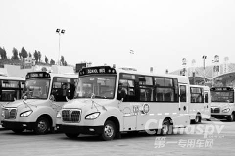 16辆“小鼻子”校车驶入平阴