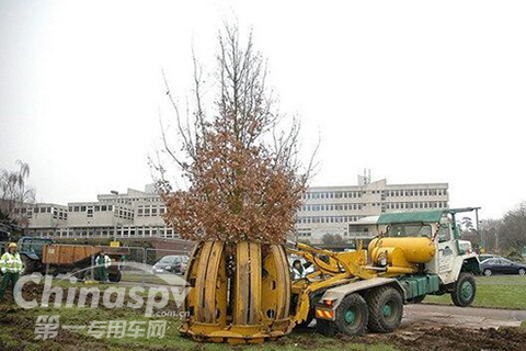 给人搬家容易，那给树搬家呢？