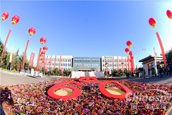 青特集团：三步跨越走向高质量发展