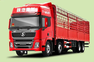 陕汽德龙X5000 8×4 绿通版载货车：为高收益保驾护航