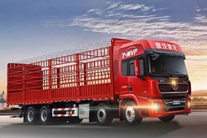 陕汽德龙X5000 8×4 绿通版：目的地超市生鲜精品区