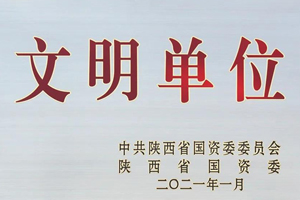 陕汽控股获陕西省国资委表彰