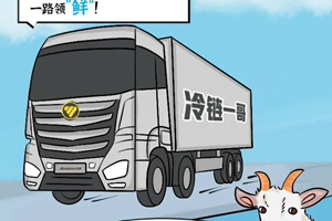 福田汽车冷链车：一只羊的“羊”生规划