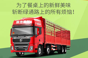 德龙X5000绿通版载货车：绿通运输，遥遥领“鲜”