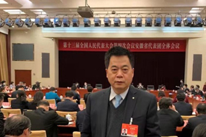 两会建议：刘汉如建议适当调整汽车、挂车及汽车列车最大总质量限值