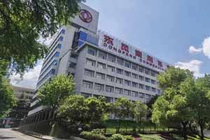 见证可靠力量 东风致敬中国品牌日
