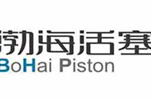 渤海活塞再次入选山东省高端品牌培育企业