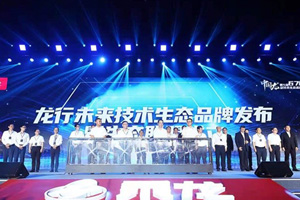 东风柳汽第5届67品牌客户日 玩转黑科技 低碳行未来