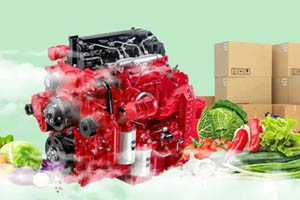 安康国六动力，澎湃之芯助力绿通运输高效畅行