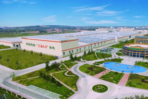 共推高端合成橡胶 双星集团与南山集团达成合作