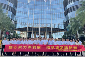 福龙马国际2021年度营销分析会议胜利召开