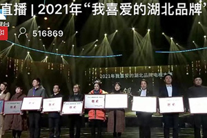 品牌强省靓丽名片 东风荣膺“我喜爱的湖北品牌”银奖