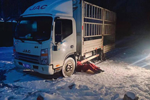 两个小时躺在雪地救援 江淮1号服务让用户感动不已