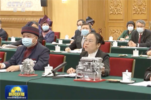 李克强总理参加广西代表团审议，玉柴许燕妮发言