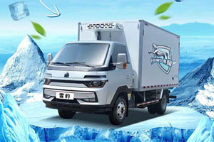 中国重汽HOWO雪豹冷藏车，敢为天下鲜！