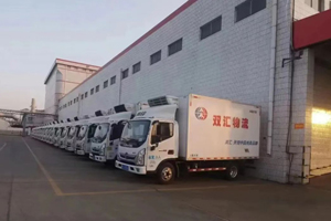 奥铃交付陕西双汇物流66台奥铃北极熊冷藏车