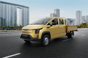 双排小卡黄金之选！菱势黄金卡双排来了！