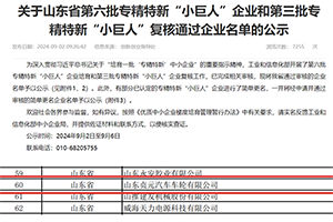 贞元车轮通过第三批专精特新“小巨人”复核