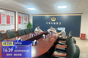 将危险货物申报为“日用品”被立案处罚