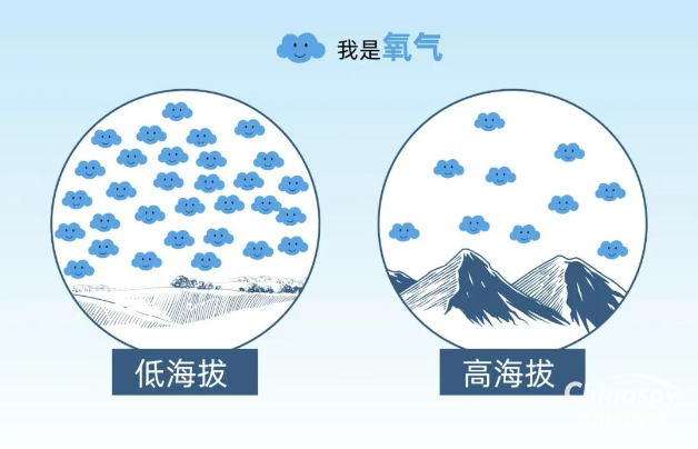 无惧“高反”，潍柴发电机组硬核技术守护大数据安全！