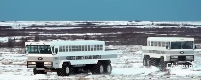 今日国外专用车推荐-加拿大探秘神秘北极熊的专用车