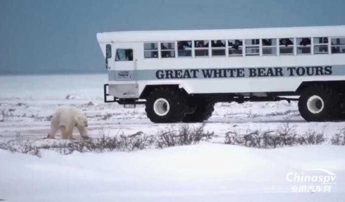 今日国外专用车推荐-加拿大探秘神秘北极熊的专用车